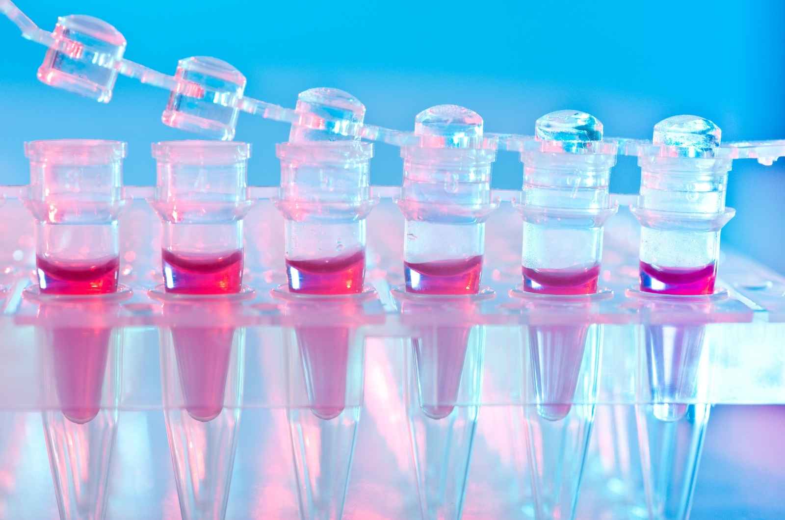 Cell-based assays