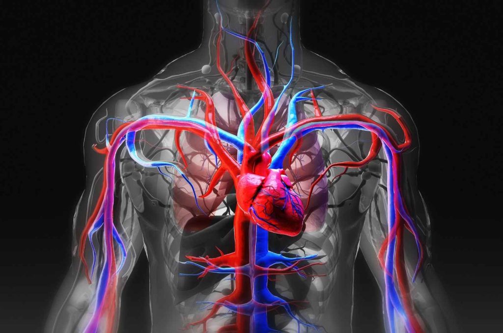 practical anatomy and surgical education